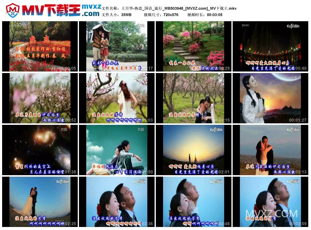 王月华-热恋_国语_流行_MB503948